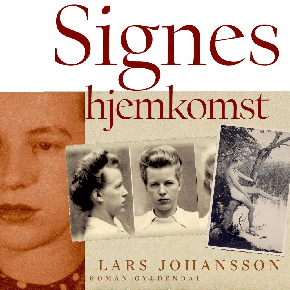 Signes hjemkomst - Lars Johansson (Lydbog)