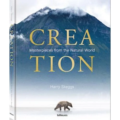 Harry Skeggs: Creation - Fotobog