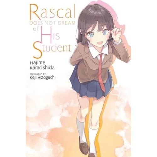 Rascal Does Not Dream of His Student Light Novel
