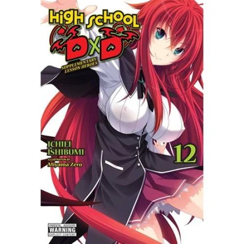 High School DxD, Vol. 12 Light Novel - Ichiei Ishibumi