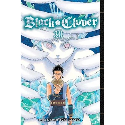 Black Clover, Vol. 30 - Yuki Tabata - Bog