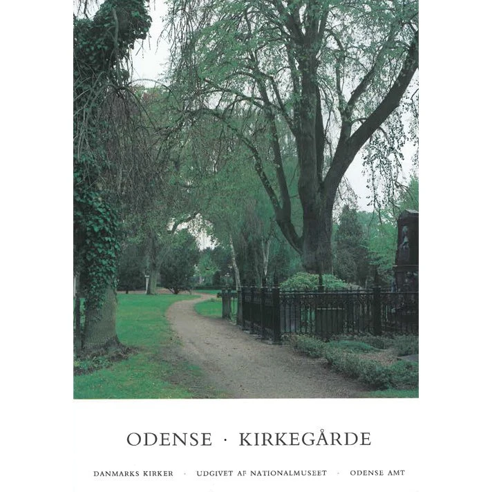 Danmarks Kirker: Odense Amt. Kirkegårde i Odense
