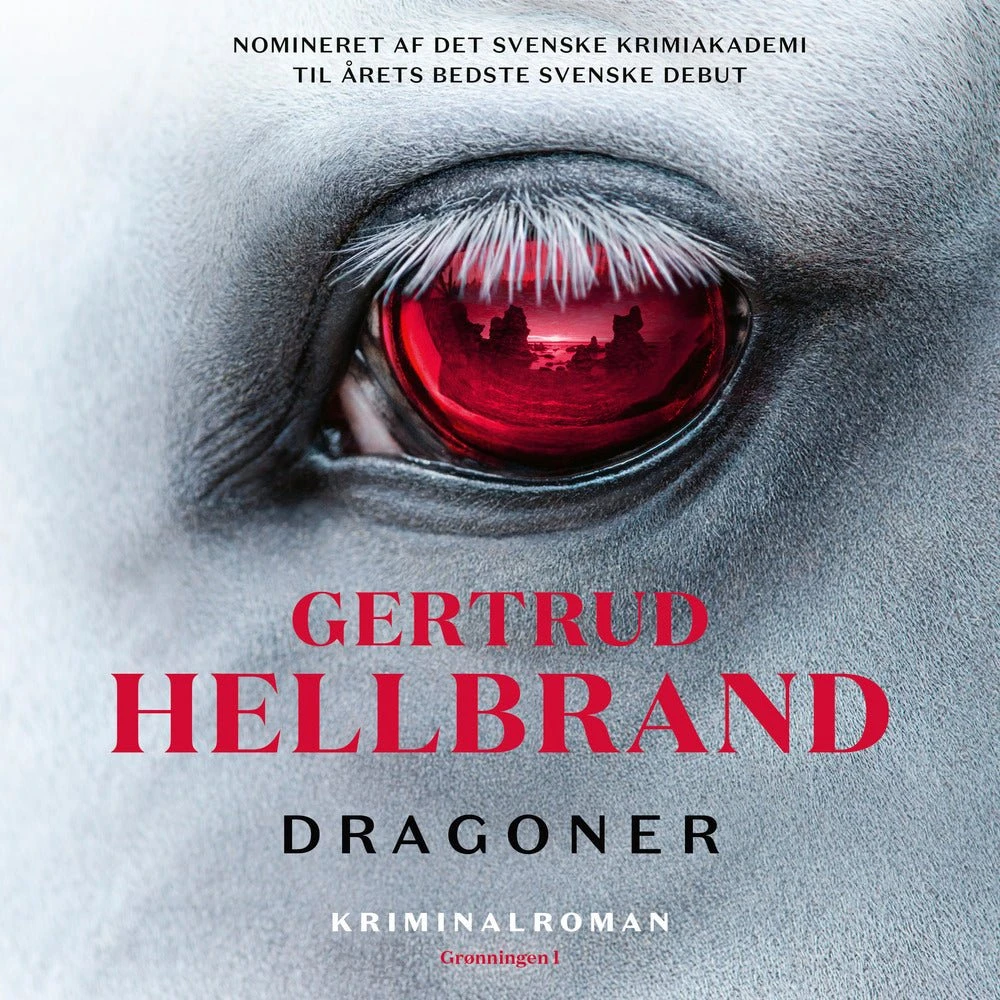 Dragoner - Svensk krimi af kritikerrost forfatter