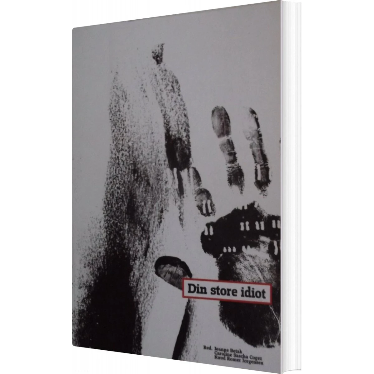 Din store idiot - Jeanne Betak - Bog