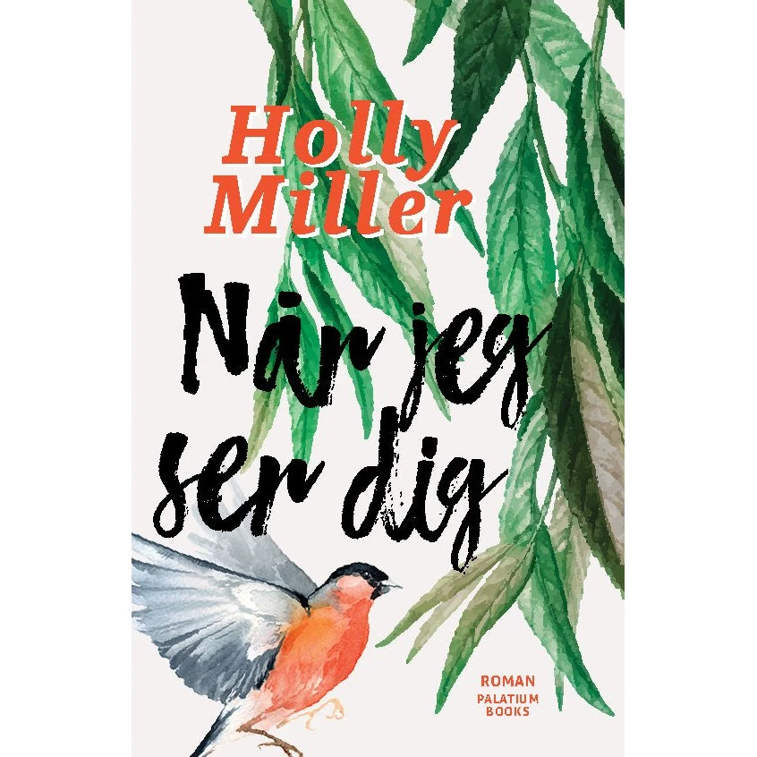 Når jeg ser dig - Holly Miller (Bog)