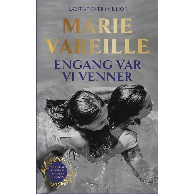 Marie Vareille: Engang var vi venner (Bog)