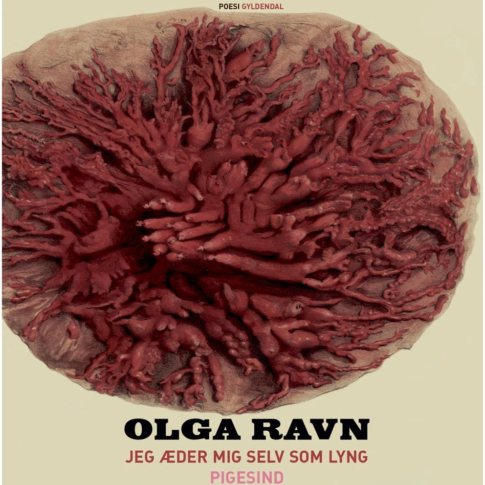 Olga Ravn: Jeg æder mig selv som lyng