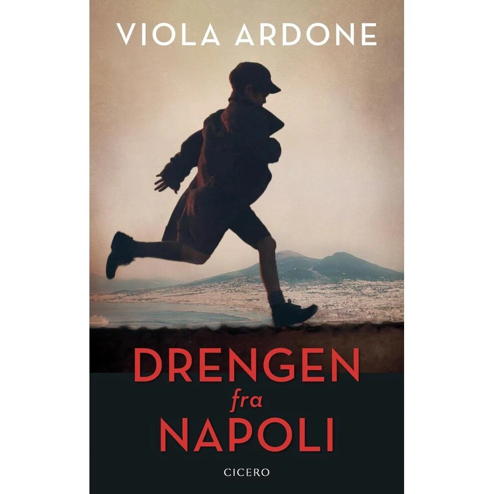 Drengen fra Napoli - Viola Ardone