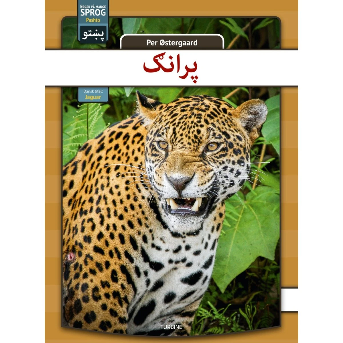 Jaguar af Per Østergaard - Pashto (Turbine)