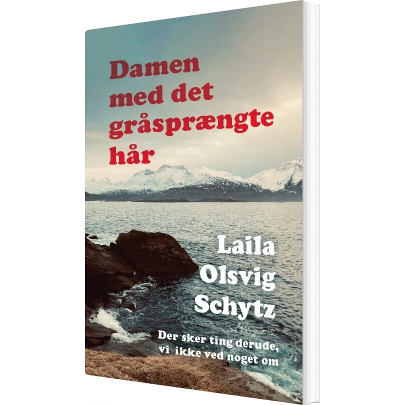 Damen Med Det Gråsprængte Hår af Laila Olsvig Schytz