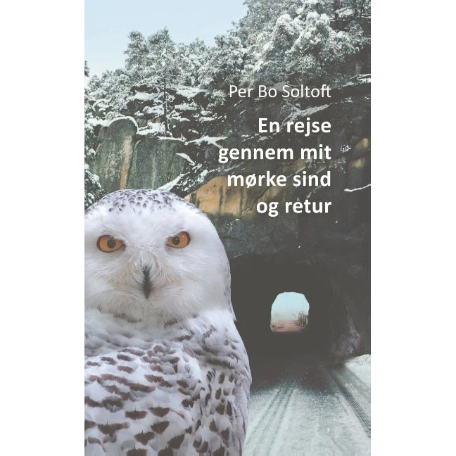 En rejse gennem mit mørke sind og retur - Per Bo Soltoft