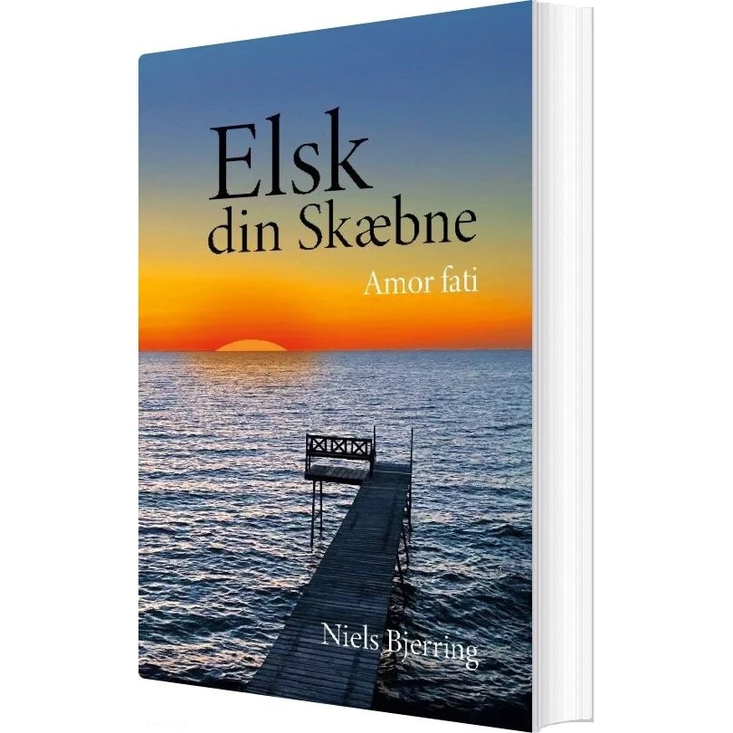 Elsk Din Skæbne - Niels Bjerring - Bog
