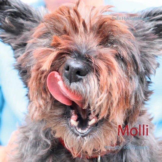 Molli - Palle Hyldenbrandt (Bog)