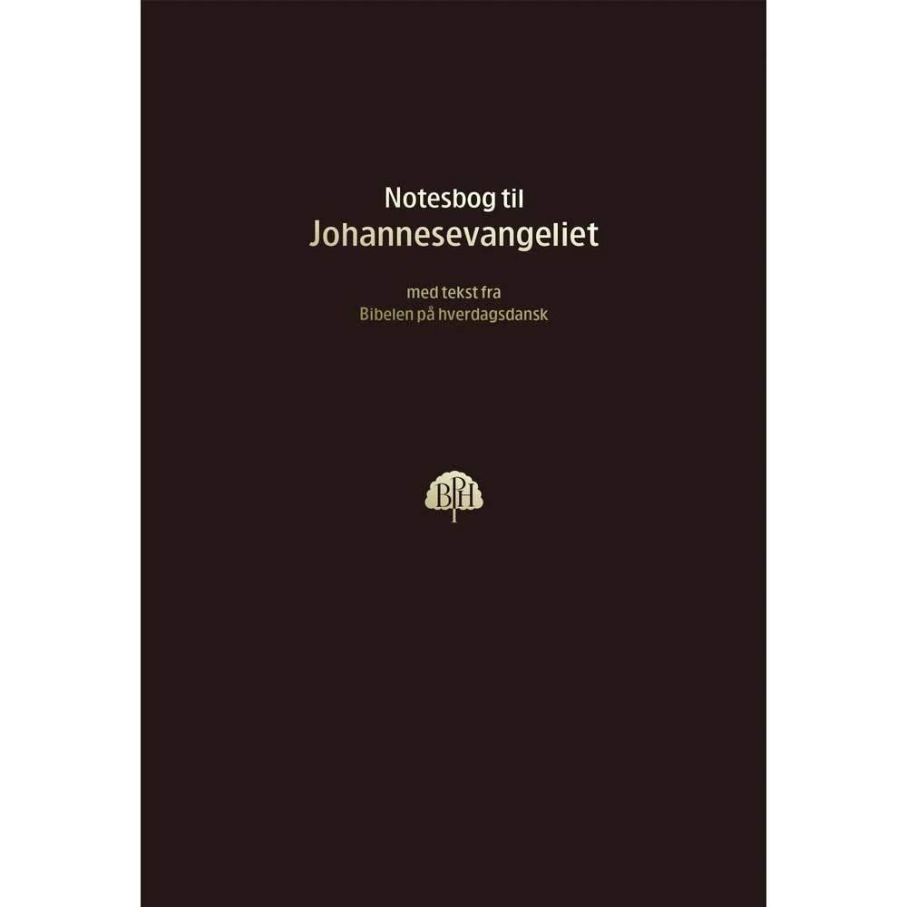 Bibelnotesbog 4, Johannesevangeliet - Bibelen på hverdagsdansk