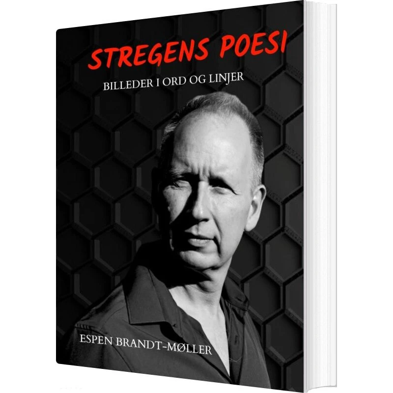 Stregens Poesi af Espen Brandt-Møller - Bog