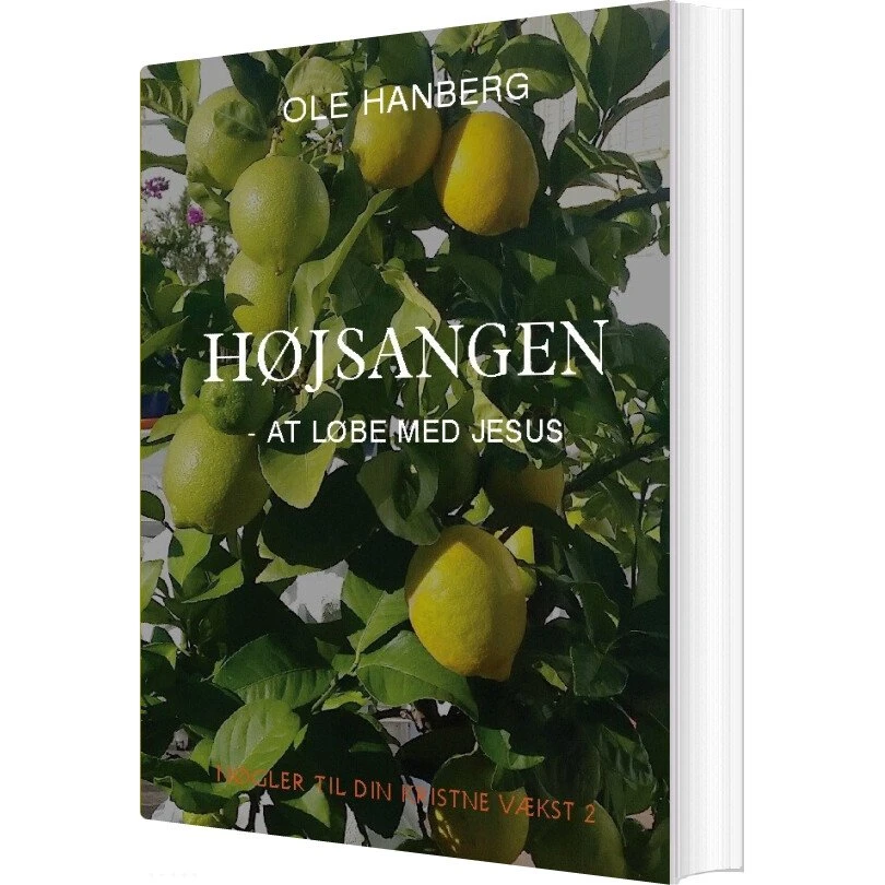Højsangen af Ole Hanberg - Bog