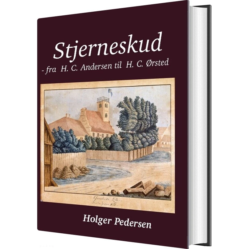Stjerneskud af Holger Pedersen - Bog