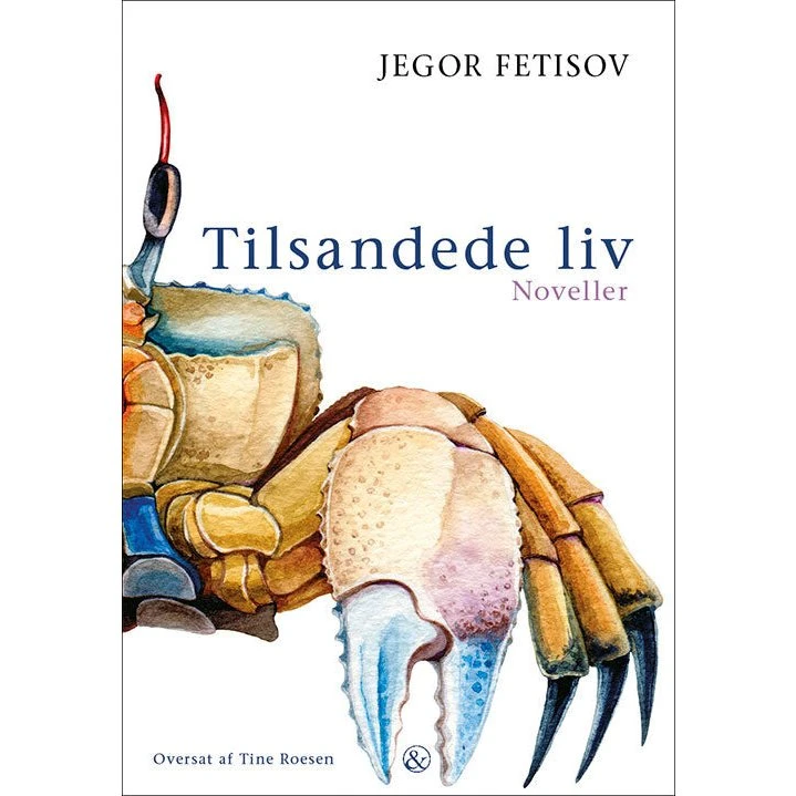 Jegor Fetisov: Tilsandede liv