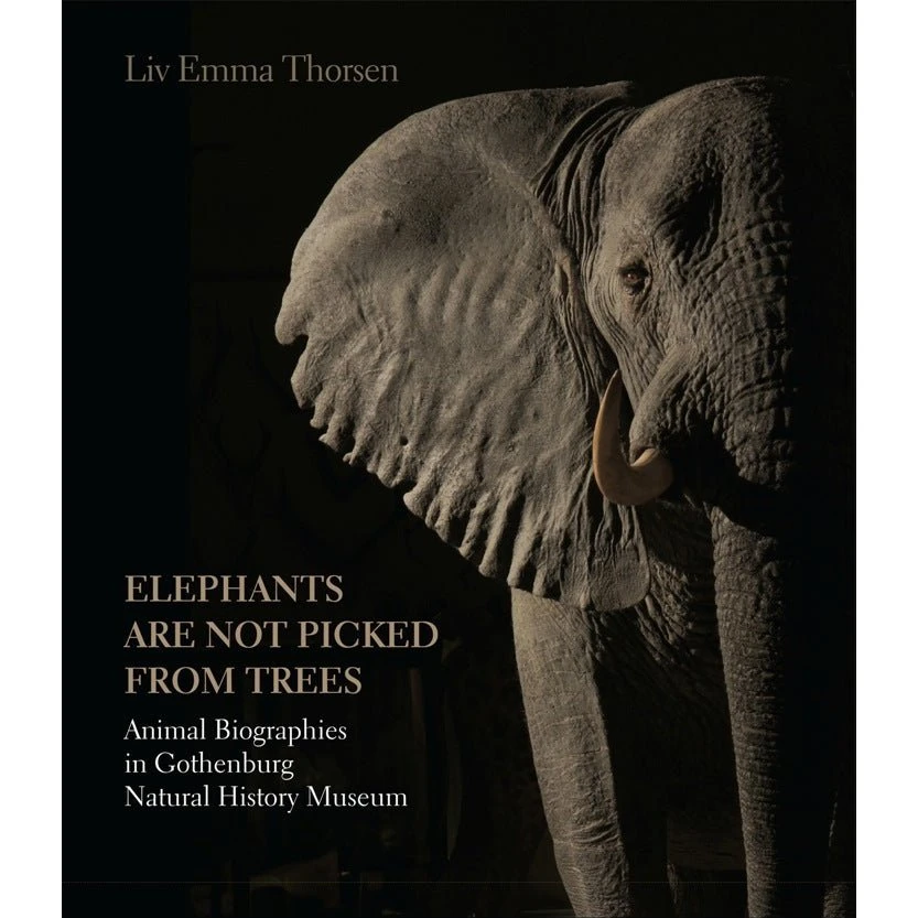 Elephants are not picked from trees - Liv Emma Thorsen