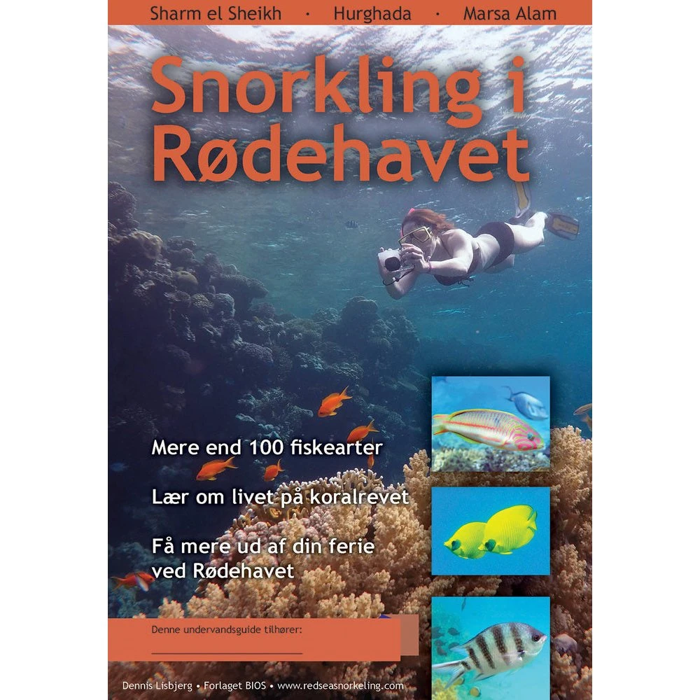 Snorkling i Rødehavet - Dennis Lisbjerg