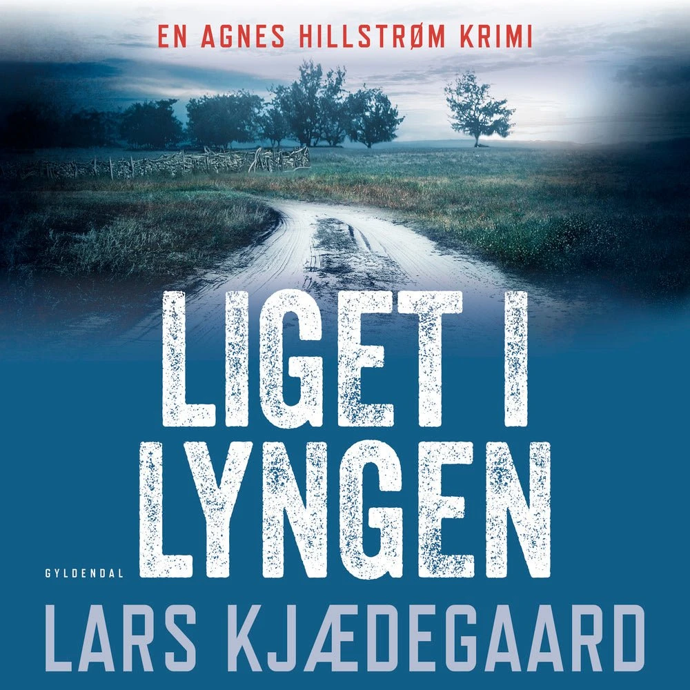 Liget i lyngen - Lars Kjædegaard