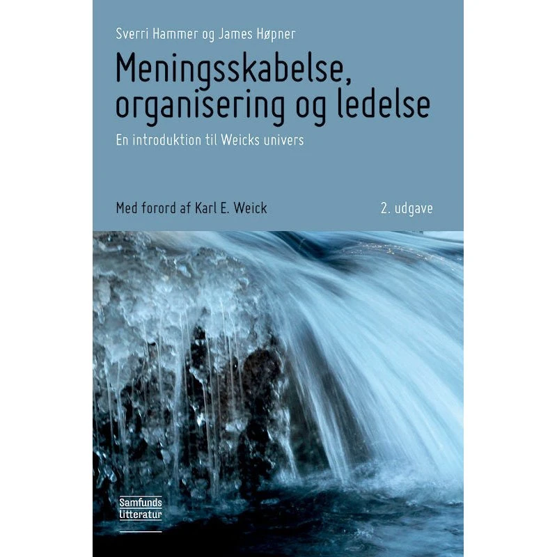 Meningsskabelse, organisering og ledelse - Lydbog