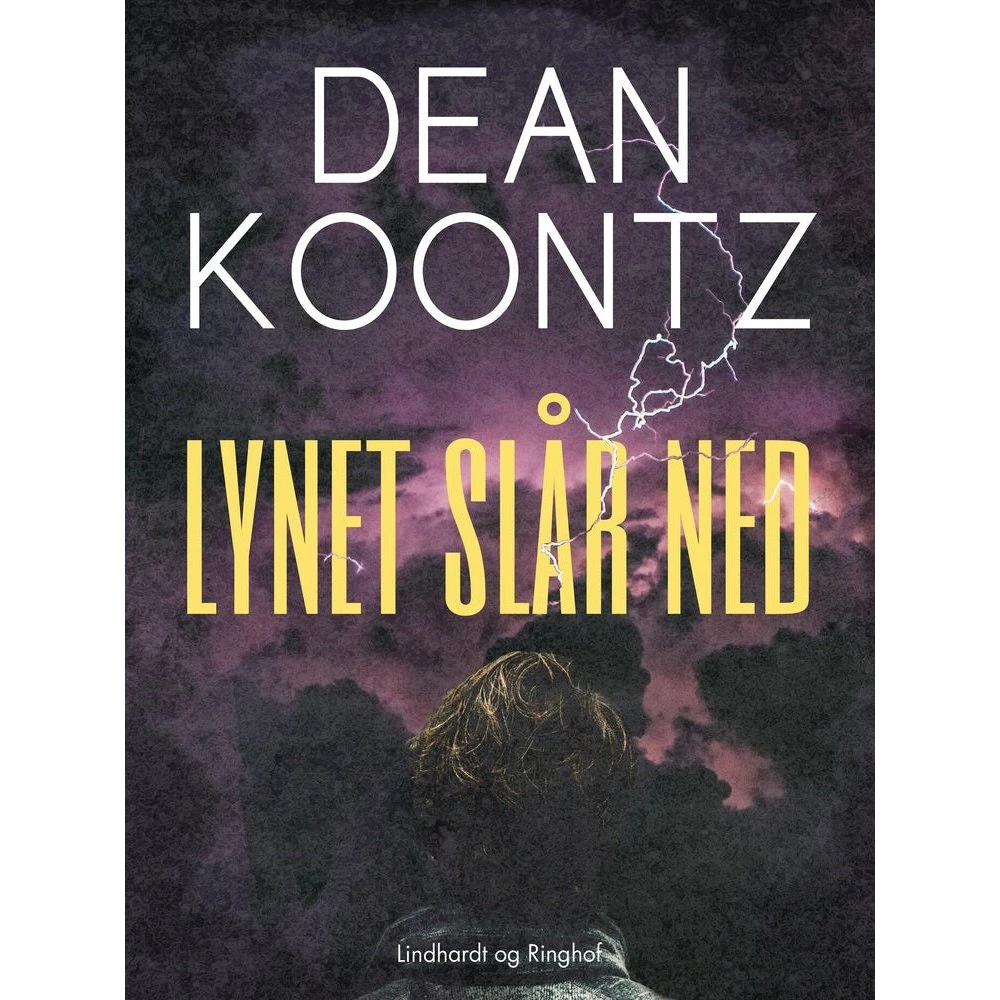 Dean R. Koontz - Lynet slår ned (Lydbog)