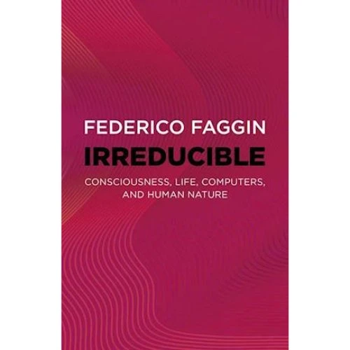 Federico Faggin: Irreducible - Bog