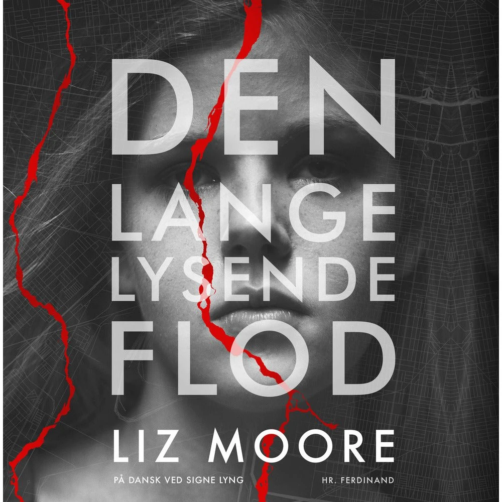 Den lange lysende flod - Liz Moore