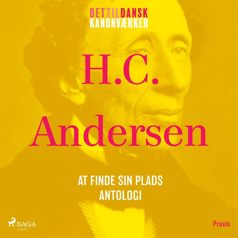 At finde sin plads - en antologi. Et kanonværk