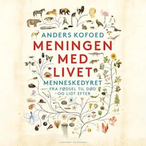 Anders Kofoed: Meningen med livet - Lydbog
