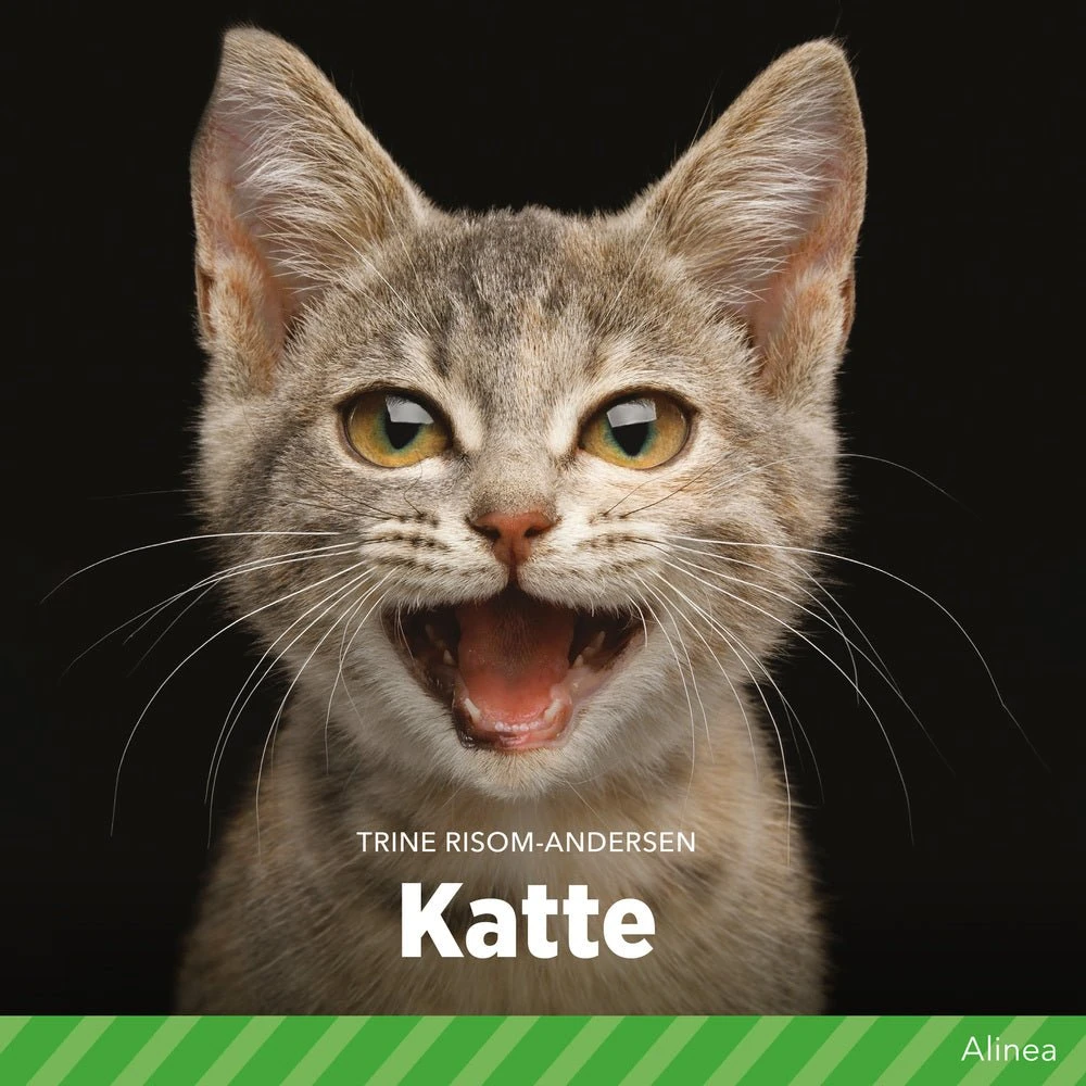 Katte af Trine Risom-Andersen