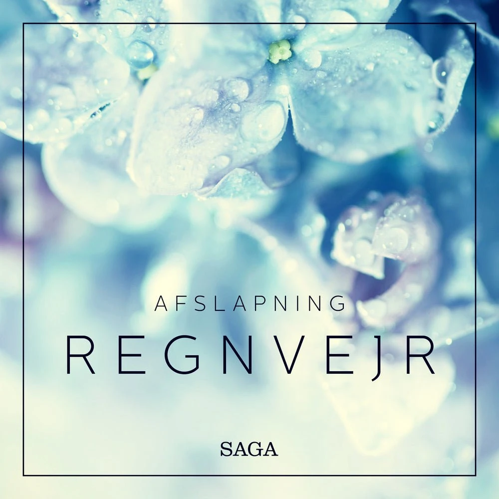 Afslapning - Regnvejr: Lydbog af Rasmus Broe