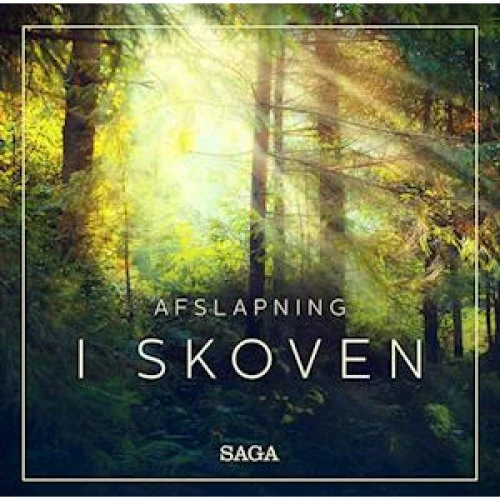 Rasmus Broe - Afslapning - I skoven - Lydbog