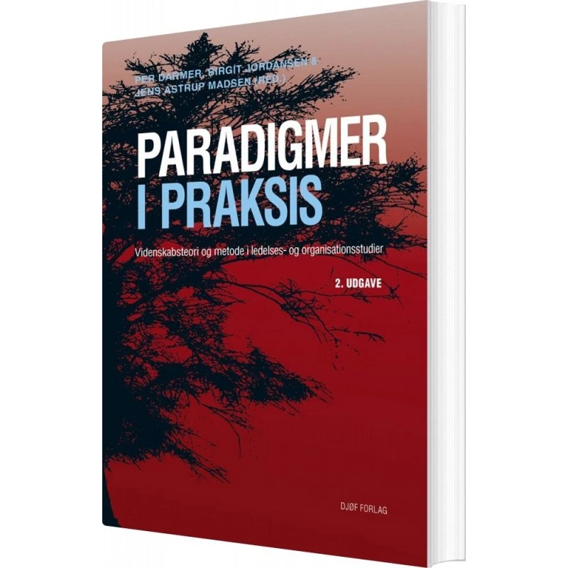 Paradigmer i praksis: Videnskabsteori i ledelse (hæftet)