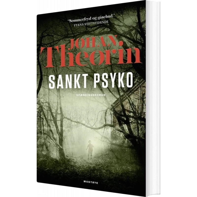 Sankt Psyko - Johan Theorin (paperback)