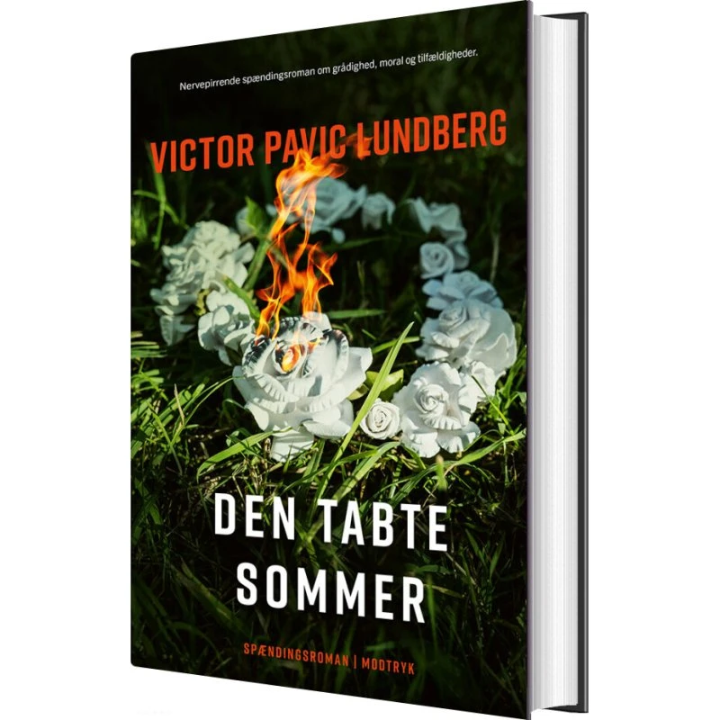 Den tabte sommer – Victor Pavic Lundberg