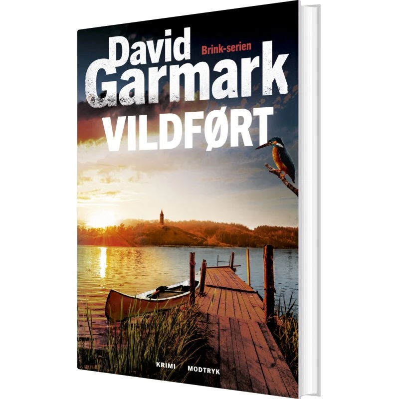 Vildført – David Garmark (Brink-serien #2)