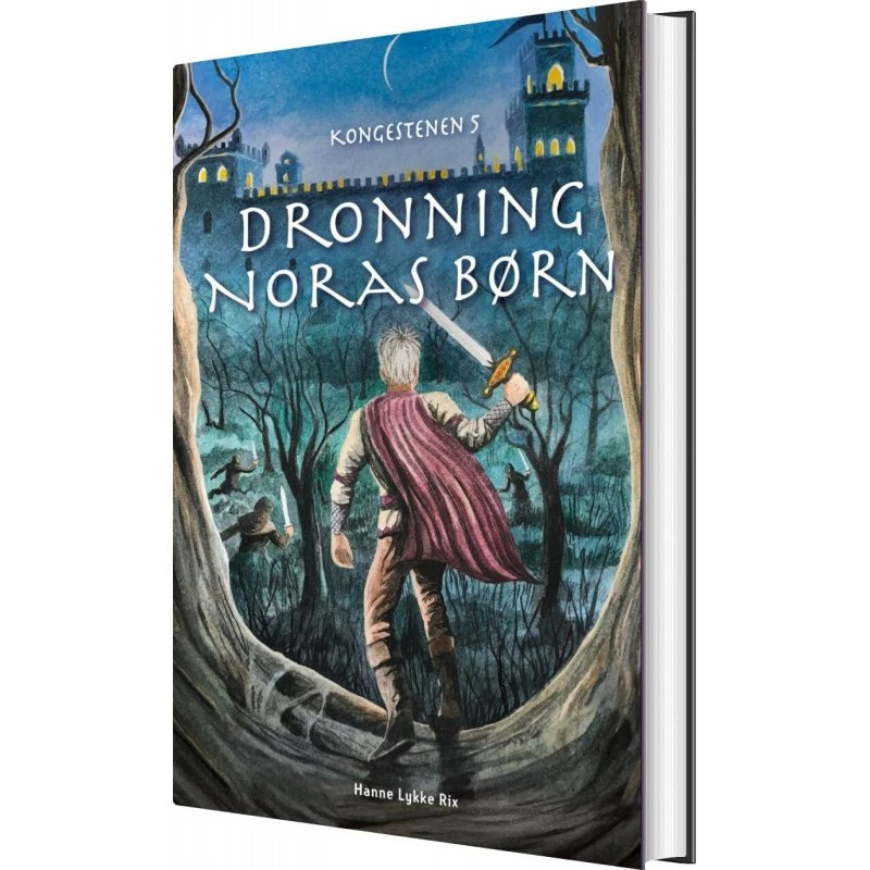 Dronning Noras børn – Hanne Lykke Rix (Kongestenen 5)