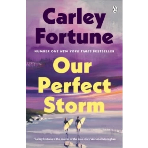 Our Perfect Storm - Carley Fortune (Bog)