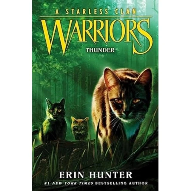 Erin Hunter: Warriors: A Starless Clan #4: Thunder