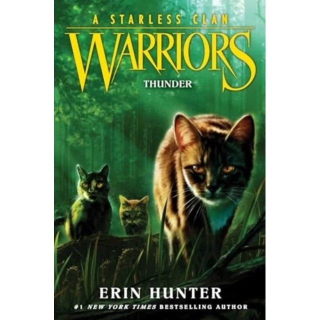Erin Hunter: Warriors A Starless Clan #4 Thunder