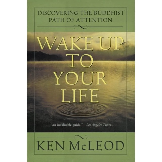 Ken McLeod: Wake Up to Your Life - Bog