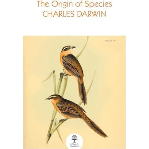 Charles Darwin: The Origin of Species - Bog