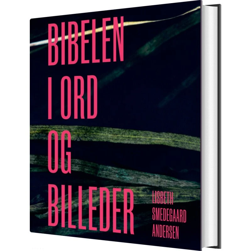 Bibelen i ord og billeder - Lisbeth Smedegaard Andersen