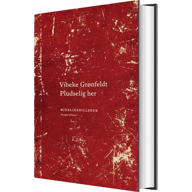 Pludselig her – Vibeke Grønfeldt (hardcover)