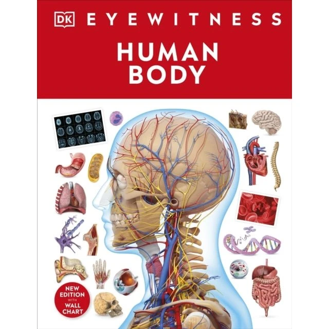 Eyewitness Human Body - Bog