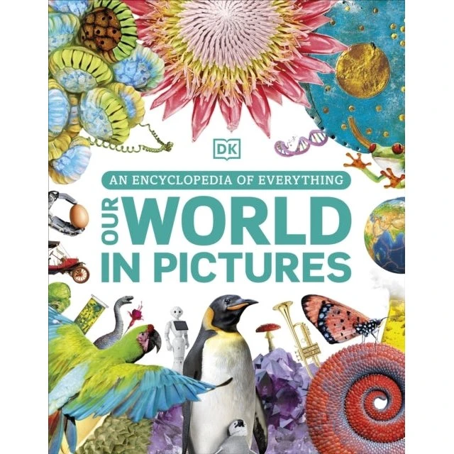 DK - Our World in Pictures