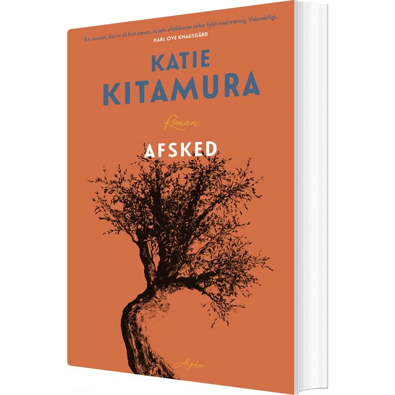 Afsked – Katie Kitamura (hæftet roman)