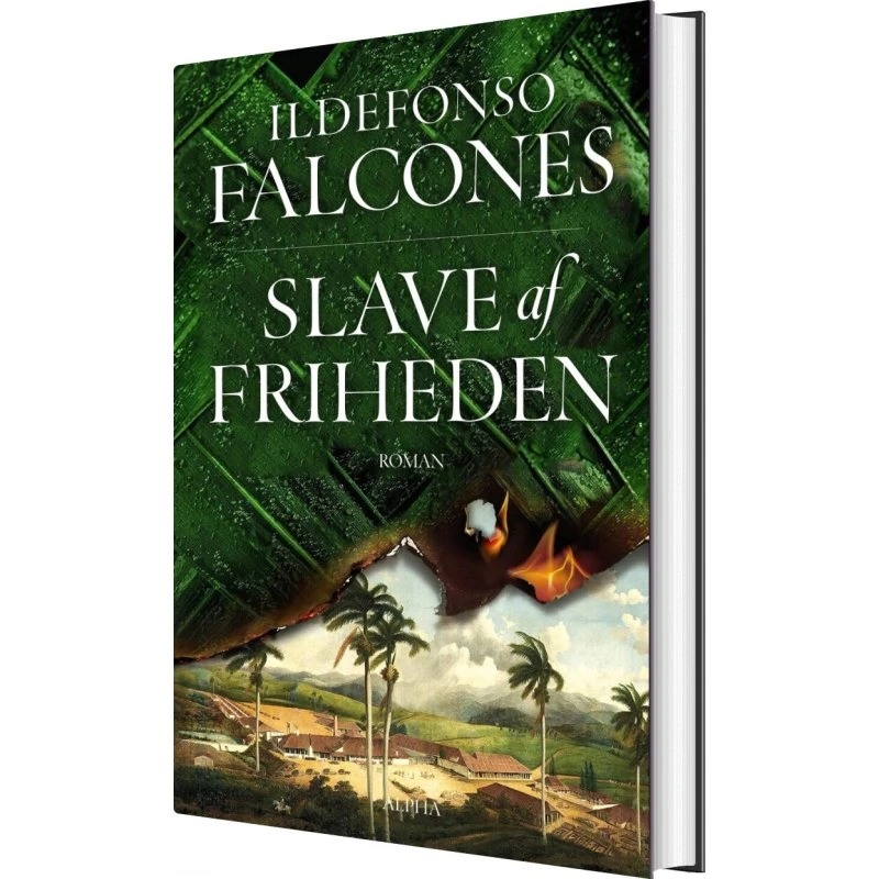 Slave af friheden – Ildefonso Falcones (hardcover)